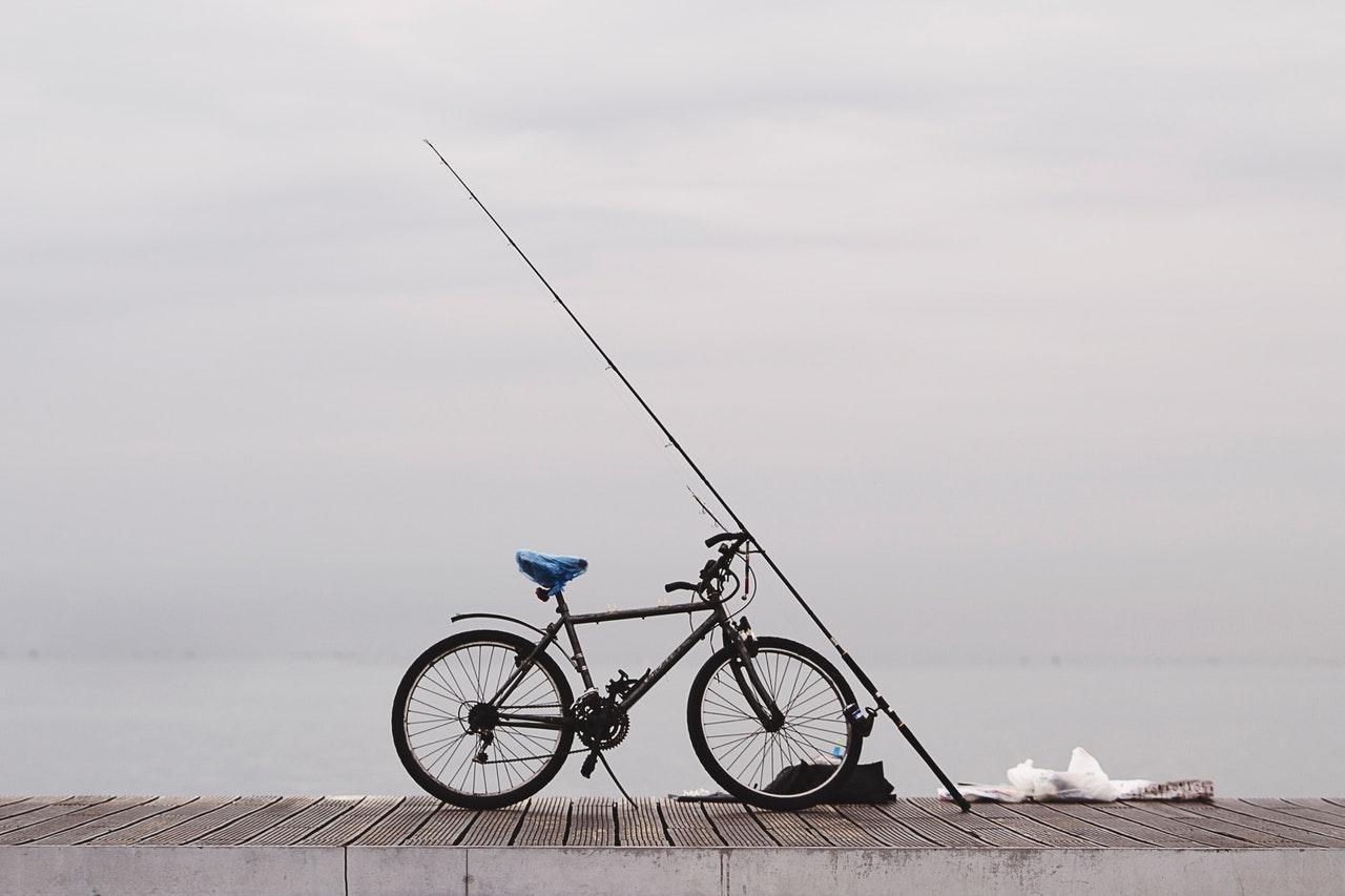 Best Crappie Rods