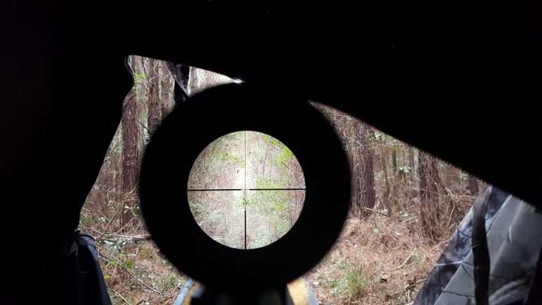 best rifle scopes review