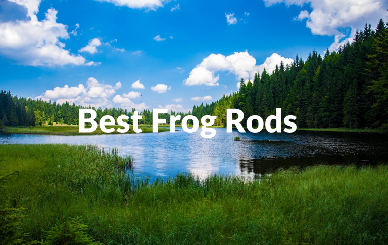 best frog rods