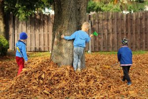 Fun in Fall Leaves