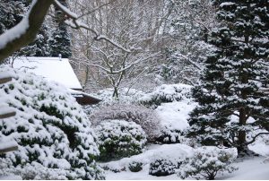 Prep Your Garden for Winter with Steps To Take Before The First Snowfall