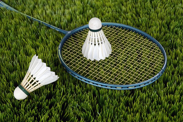 Badminton: A Fun and Healthy Way to Get Your Family Outdoors
